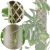 2575e83560769c19fae8d7a6fccdb055.png