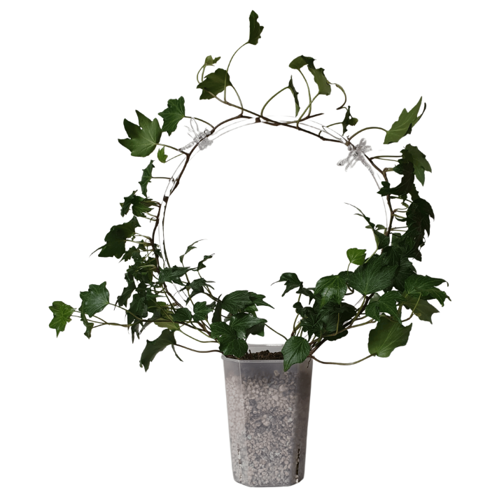 a5e2edd102d208a68f5fa59751f41832.png