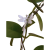 cfb39ffdafee46370b06d983d768c76a.png