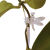 da200e98b40a8e7cede2837d7ff358fb.png