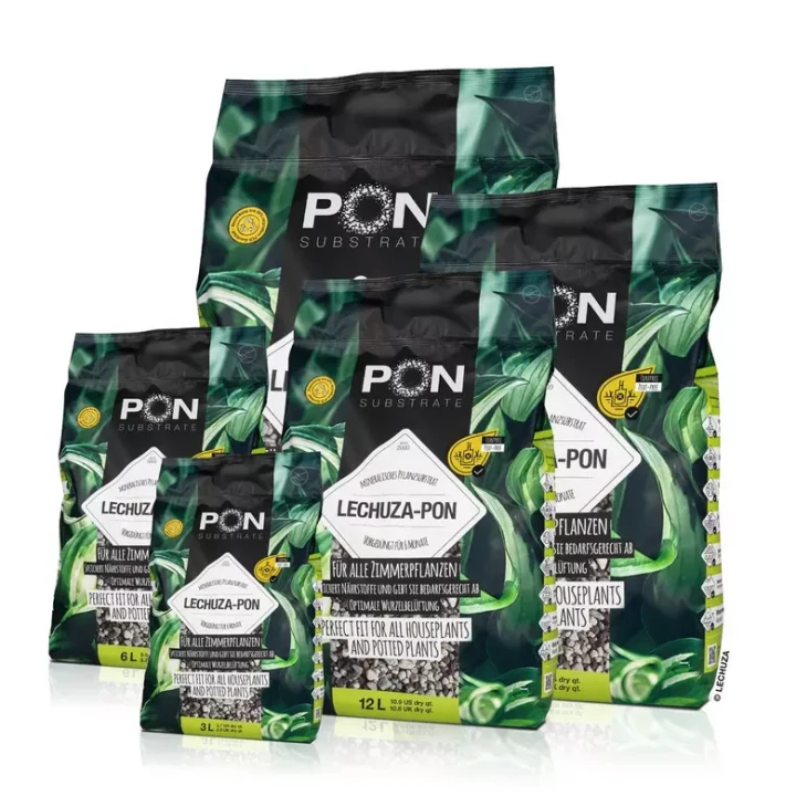 c32c036ee1c9b2989148d4e82e402119.webp
