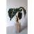 a16a9913770c676fc1cbda262954edc0.png
