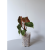 b998d67c52c0c5e9d1951b04757cb21e.png
