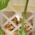 c9b4a97cd63119e50b747c679b963461.png