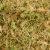 919023623af5f651de6e4dba3ec16a48.png
