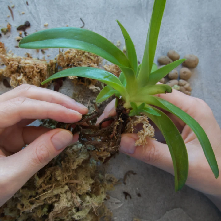 c47ee871dbfd99e4aea3eee57683b943.png