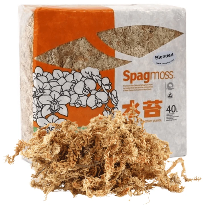 93bf77e9392b3ed344ee262420aa3e94.png