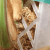 89529483d132b8190eadfb6d776d179e.png