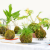 fd6199f5677984d453bff5cac1fa9e49.png