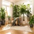 9b719327680de5bf43715dc6ae2fd6d6.webp