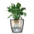 b0ec36cfeb806fea30fab0b7b15410f9.webp