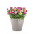 33f33db268cc7eb68e5ba671260470d1.png