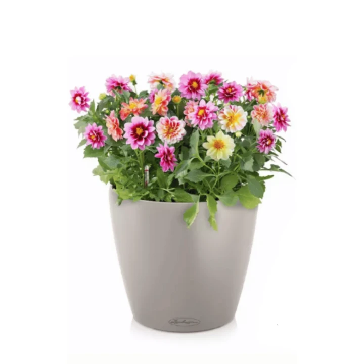 ce3b1945829af7cd27ec8263c230f0d6.png