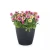 1d883a05d3ece265a0c414c4cdeecc32.webp