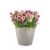 bb8569a3802f5e8902167184e4b80d0d.webp