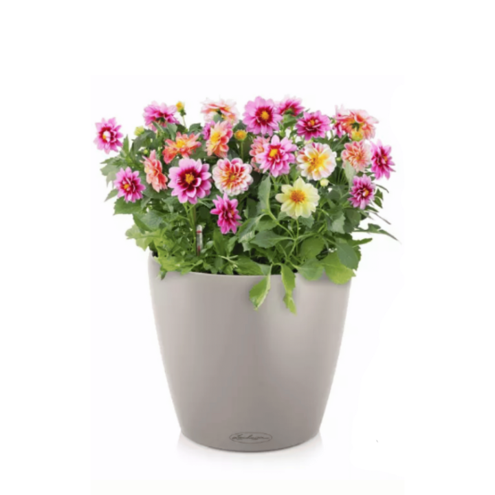 64f962b0685dfa8e2c224214cffcbdf8.png