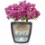 c541ddfa85735205ae8e2937e9626873.webp