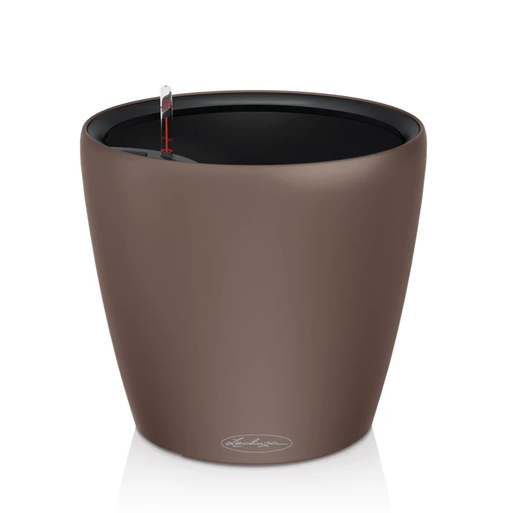 619760e8af6f00a0002ca33662cfdb95.webp