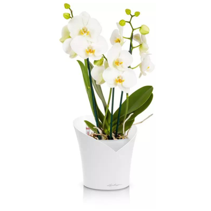 0b515ff179ae97ea28f15ae93e2dfd3a.png