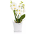 0b515ff179ae97ea28f15ae93e2dfd3a.png