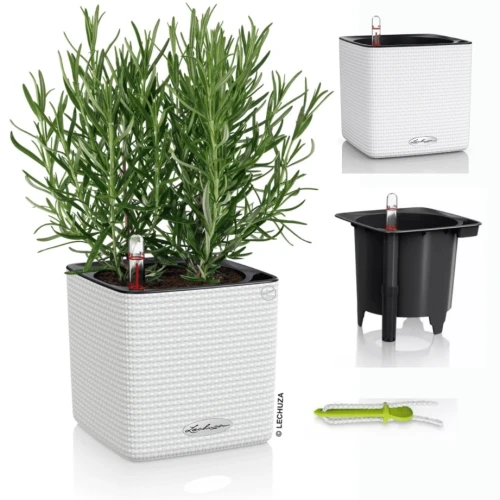 1ccccb04bc99bf4f9107b03990735c5d.webp