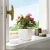 bea2006a8c809f963a115fffe3f33688.webp